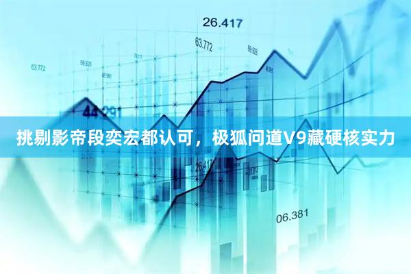 挑剔影帝段奕宏都认可，极狐问道V9藏硬核实力