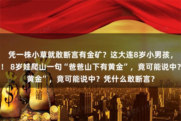 凭一株小草就敢断言有金矿？这大连8岁小男孩，把大人都惊到了！ 8岁娃爬山一句“爸爸山下有黄金”，竟可能说中？凭什么敢断言？