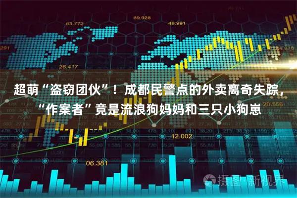 超萌“盗窃团伙”!成都民警点的外卖离奇失踪,“作案者”竟是流浪狗妈妈和三只小狗崽